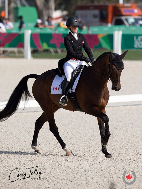 Canadian Eventing Team Sitting Second in the Tokyo Race after Dressage at Lima 2019 Pan Am Games